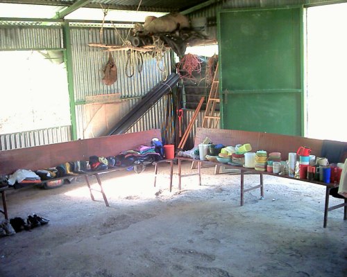 Sorting Supplies