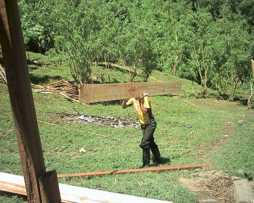 Carrying the lumber