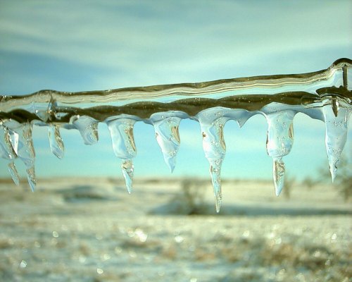 Barbed Ice Wire