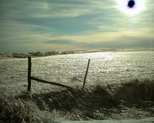Ice Pasture