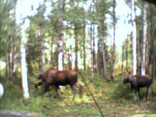 Around Alaska
