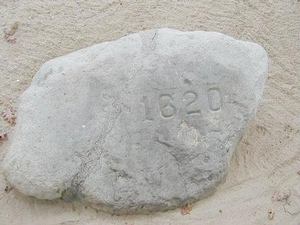 Click to read about Plymouth Rock
