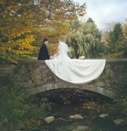 Beautiful Setting
