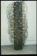 Thicket