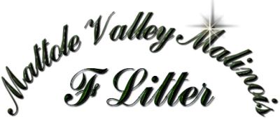 Mattole Valley Title Bar 11KB