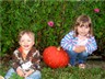 Click on image for a larger view!