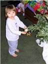 Click on image for a larger view!