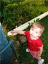 Click on image for a larger view!