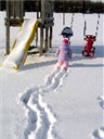 Click on image for a larger view!