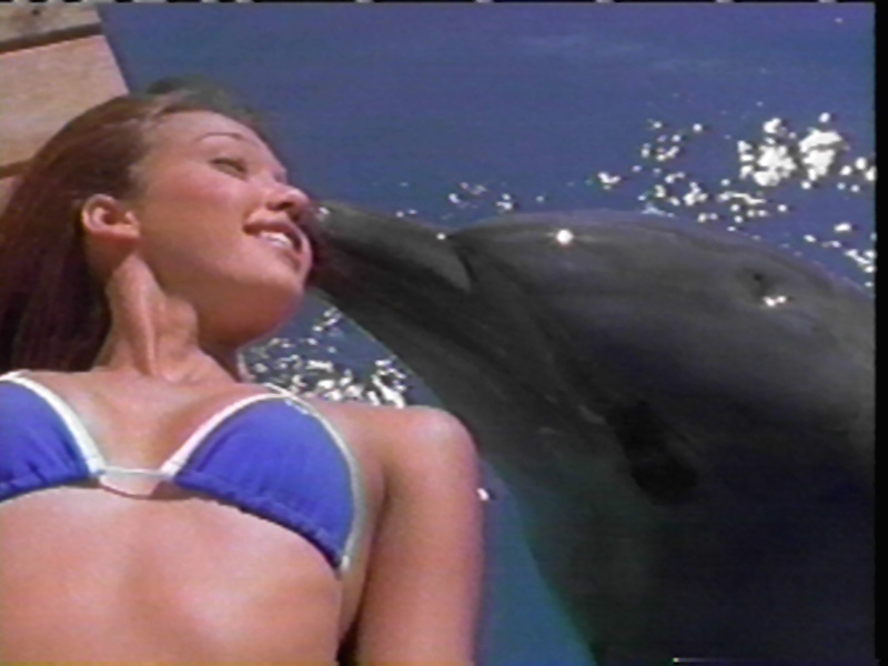Lucky Dolphin