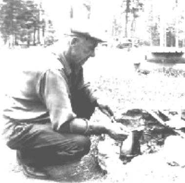 Picnic