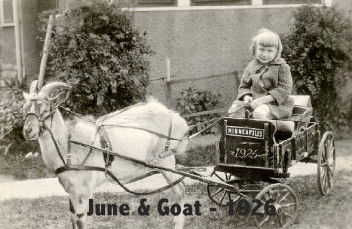 Baby June
