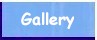 back to gallery