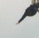 Matt's bungee jump
