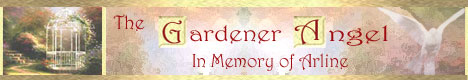 Kathleen's Banner