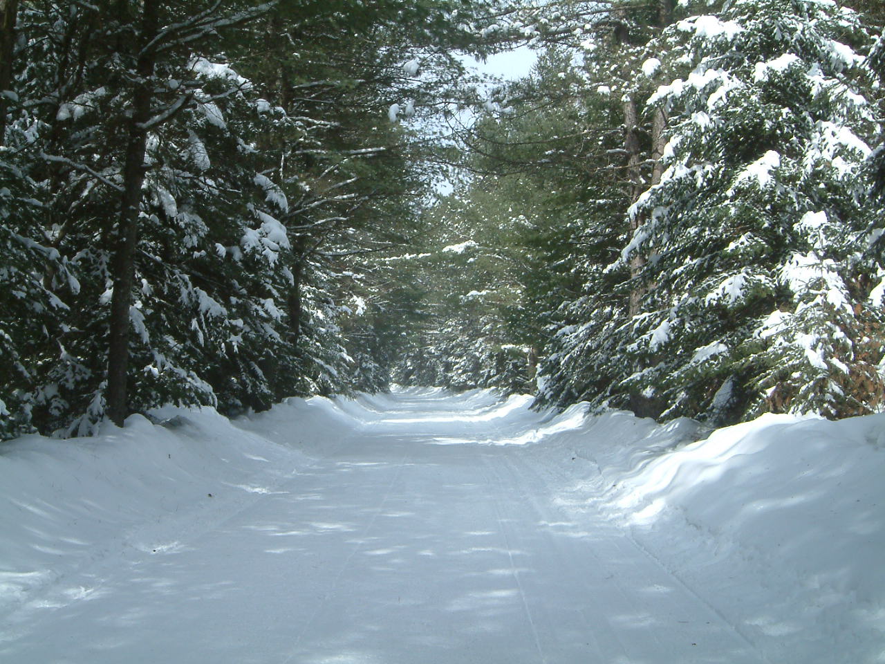 Snowmachine Trail