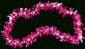 Dendrobium Orchid Lei