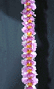 Single Orchid Lei