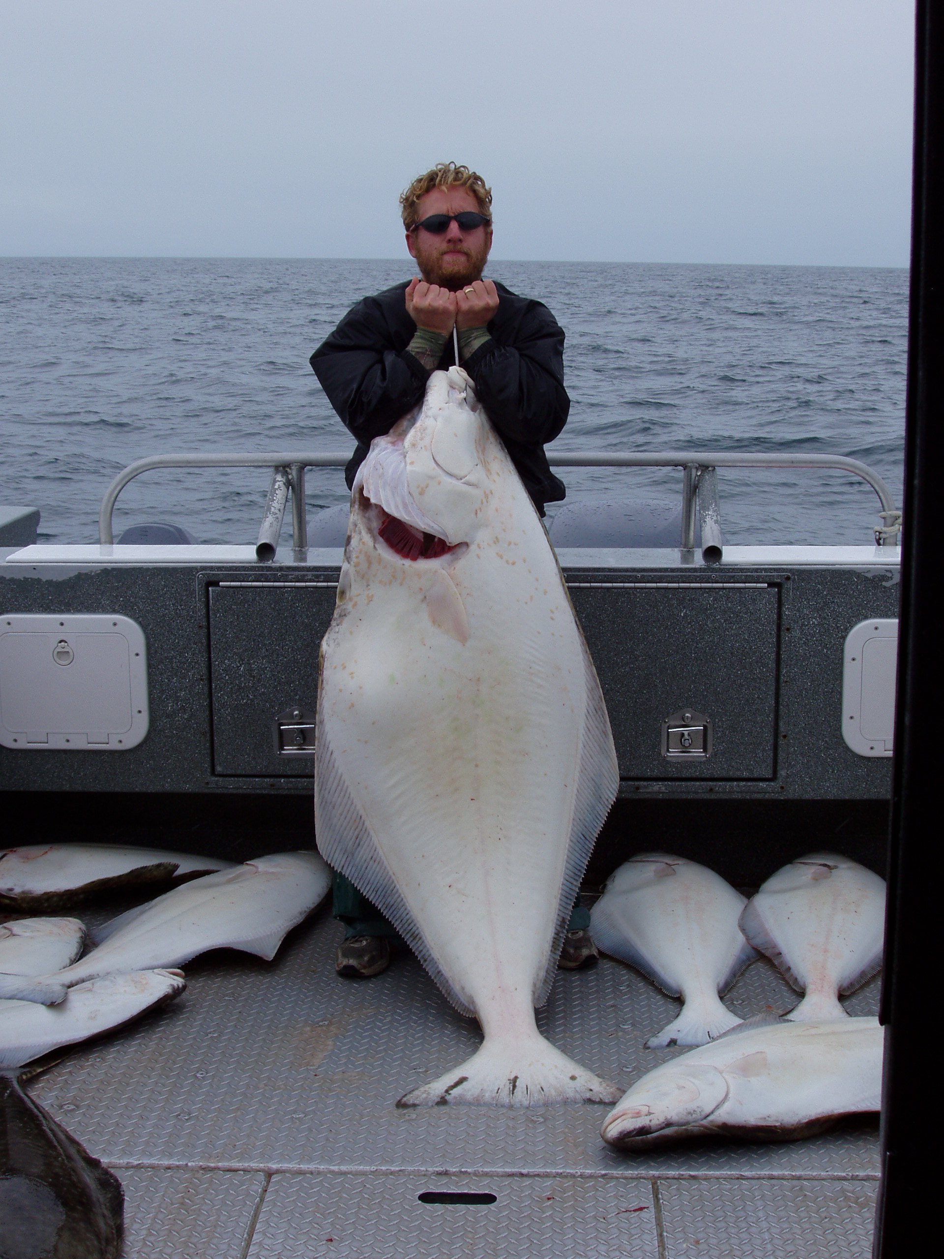 Halibut