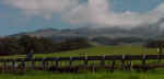 view.jpg (29156 bytes)