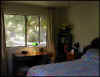 ohana.jpg (44753 bytes)
