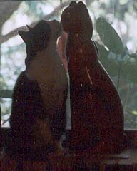 Charlie and the Red Cat Statue