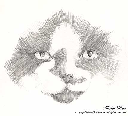 Mau portrait