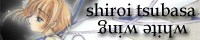 Shiroi Tsubasa: more fandom