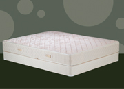 Mattress - Dynasty