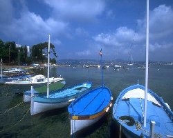 picture of boats