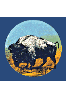 Picture of a Buffalo