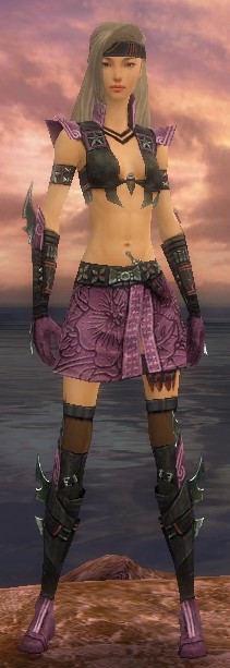 I Hate My Assassin
