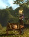 Poor Little Pig