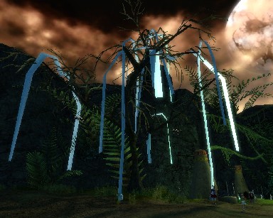 TP'd Tree in Kamadan