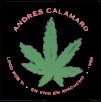 andr�s calamaro - Live in Ayacucho 88