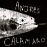 andr�s calamaro - el salmon (simple)