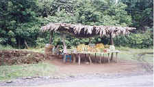 Fruit Stand (44K)