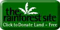 Rainforest Site