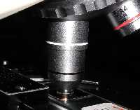 rotate 100x lens into oil