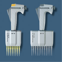 t8duo.jpg (7953 Byte)