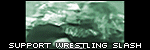 Support Wrestling Slash - Shawn/Hunter
