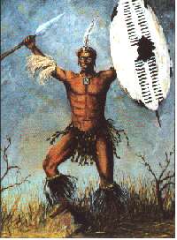 Shaka Zulu
