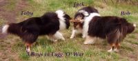 See Photo's of both Fun & Relaxing times