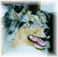 BEAU