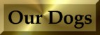 Our Dogs page