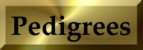 Our Dogs Pedigrees
