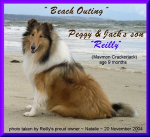 Peggy & Jack's Son - REILLY