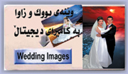 click to see wedding pictures