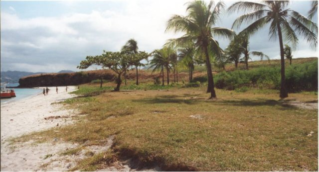 island2.jpg