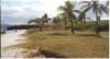 island2_small.jpg